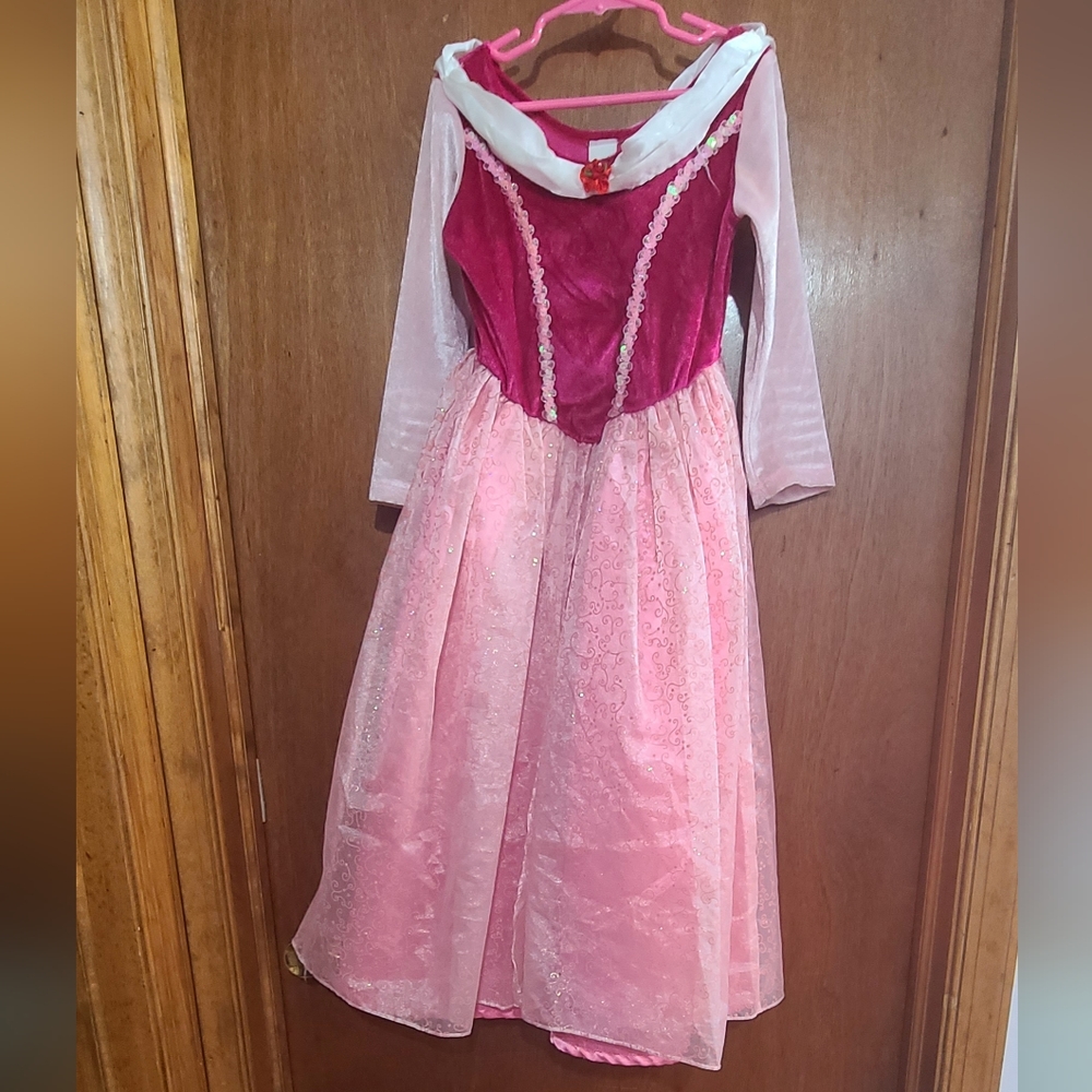 Princess Girls Sleeping Beauty Dress